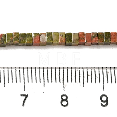 Natural Unakite Beads Strands G-N342-79-1