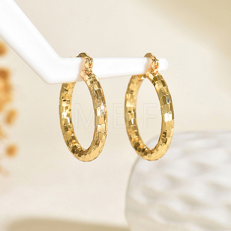 Brass Textured Rectangle Hoop Earrings TU9536-2-1