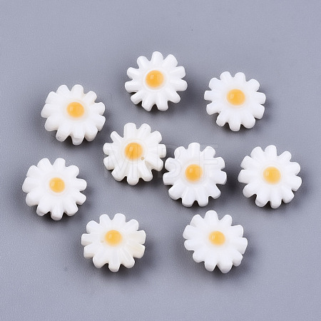 Natural Freshwater Shell Beads SHEL-S266-14B-1