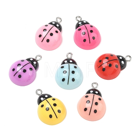 Opaque Resin with Alloy Pendants RE-CBA14F0-04-1