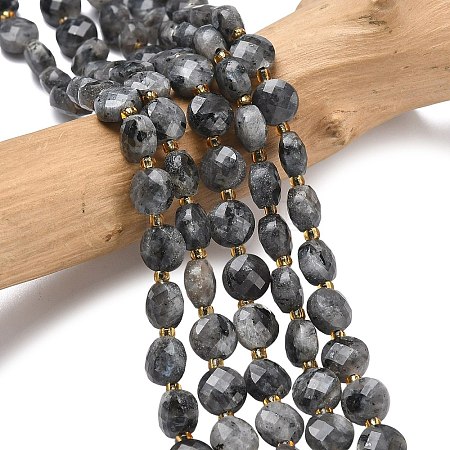 Natural Larvikite Beads Strands G-K389-B85-01-1