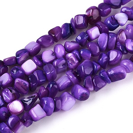 Natural Freshwater Shell Beads Strands SHEL-N037-04H-1