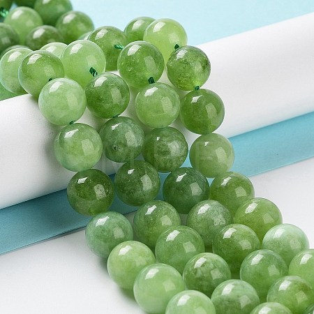 Dyed Natural Malaysia Jade Beads Strands G-G021-02C-04-1