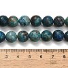 Natural Chrysocolla Beads Strands G-C289-B02-10mm-5