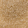 MIYUKI Delica Beads SEED-X0054-DB0101-3