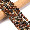 Natural New Ocean Jasper Bead Strands G-G954-01-6mm-1
