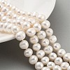 Natural Cultured Freshwater Pearl Beads Strands PEAR-C003-16E-1