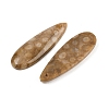 Natural Fossil Coral Pendants G-B187-01C-05-2