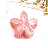 Resin Claw Hair Clips PW-WG0E0E6-06-1