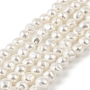 Electroplated Shell Pearl Beads Strands BSHE-M036-02C-1