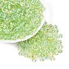 Transparent Colours Glass Seed Beads SEED-Q042-01A-A09-1