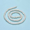 Natural Cultured Freshwater Pearl Beads Strands PEAR-F018-05-3