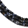Natural Sapphire Beads Strands X-G-P553-G07-01-4