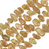 Natural Yellow Apatite Beads Strands G-L657-E06-01-2