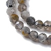 Natural Labradorite Beads Strands G-G188-B11-02-4