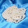 Round Shell Pearl Bead Strands BSHE-L011-12mm-A013-2