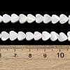 Natural Trochid Shell/Trochus Shell Beads Strands SH-CBA2978-19A-4