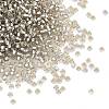 MIYUKI Round Rocailles Beads SEED-JP0008-RR2433-1