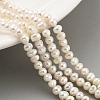 Natural Cultured Freshwater Pearl Beads Strands PEAR-C003-07C-2