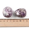 Natural Lepidolite Beads G-G348-01B-18-3