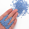 6/0 Glass Seed Beads SEED-US0003-4mm-123B-5