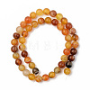 Natural Sardonyx Beads Strands G-S369-002C-A02-2