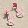 Acrylic Dangle Stud Earrings FS-WGFB232-01-3