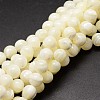 Shell Beads Strands SSHEL-E571-39-4mm-1