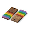 Pride Rainbow Theme Resin & Walnut Wood Pendants WOOD-K012-06B-2