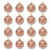 Golden Plated Alloy Enamel Charms LS-ENAM-S118-07Y-2