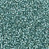 MIYUKI Delica Beads X-SEED-J020-DB1767-2