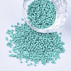 Baking Paint Cylinder Seed Beads SEED-Q036-02A-D05-1