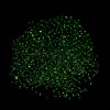 Luminous Glass Seed Beads X1-SEED-A033-07K-5