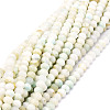 Natural Gemstone Beads  Strands G-E569-I20-1