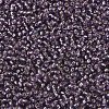 MIYUKI Round Rocailles Beads SEED-JP0008-RR0024-3