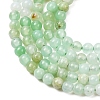 Natural Chrysoprase Beads Strands G-H358-A04-3mm-02-4