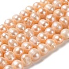 Natural Cultured Freshwater Pearl Beads Strands PEAR-E018-28-1