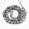 Natural Labradorite Beads Strands G-R465-33B-2