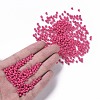 Baking Paint Glass Seed Beads SEED-S002-K5-4