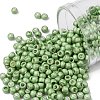 TOHO Round Seed Beads X-SEED-TR08-0560F-1