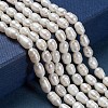 Natural Cultured Freshwater Pearl Beads Strands X-PEAR-N012-05G-4
