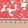 Baking Paint Glass Seed Beads X1-SEED-K010-A08-4