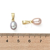 Natural Cultured Freshwater Pearl Pendants PALLOY-JF05324-4