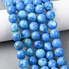 Natural Howlite Beads Strands G-H343-D06-12mm-B-1