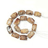 Natural Fossil Coral Beads Strands G-F554-09-3