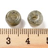 Natural Labradorite Beads G-C134-03T-3