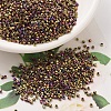 MIYUKI Delica Beads SEED-MY11-DB0029-1