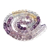 Natural Fluorite Beads Strands G-G991-C01-6