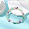 Natural Gemstone Chip Stretch Bracelets for Women BJEW-JB11019-01-2