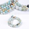  2 Strands Natural Flower Amazonite Beads G-NB0003-14-7